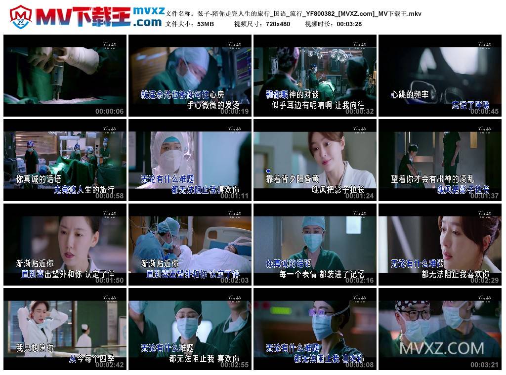 弦子-陪你走完人生的旅行_国语_流行_YF800382